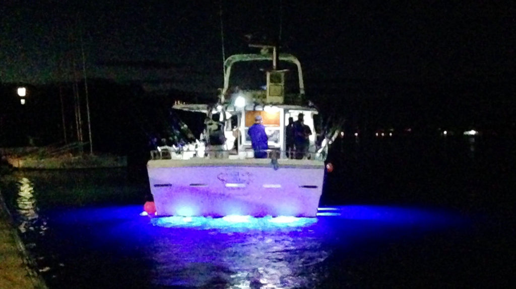 Overnight Deep Sea Fishing Charters with Sunshine Coast Afloat