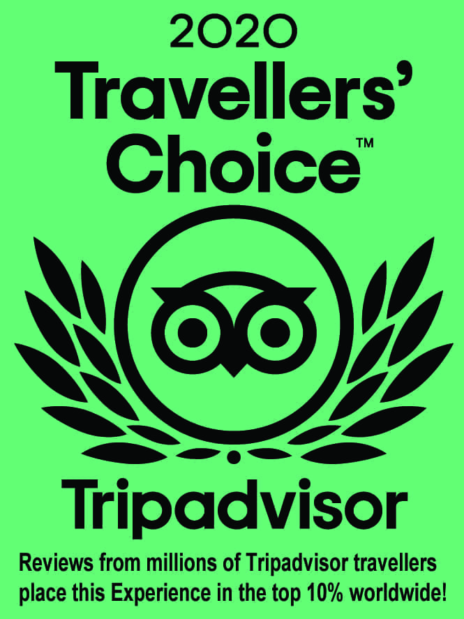 Sunshine Coast Afloat's Tripadvisor Travellers Choice award (green) for their deep sea fishing charters, Short Cruises, Whale Watching tours and other activities.