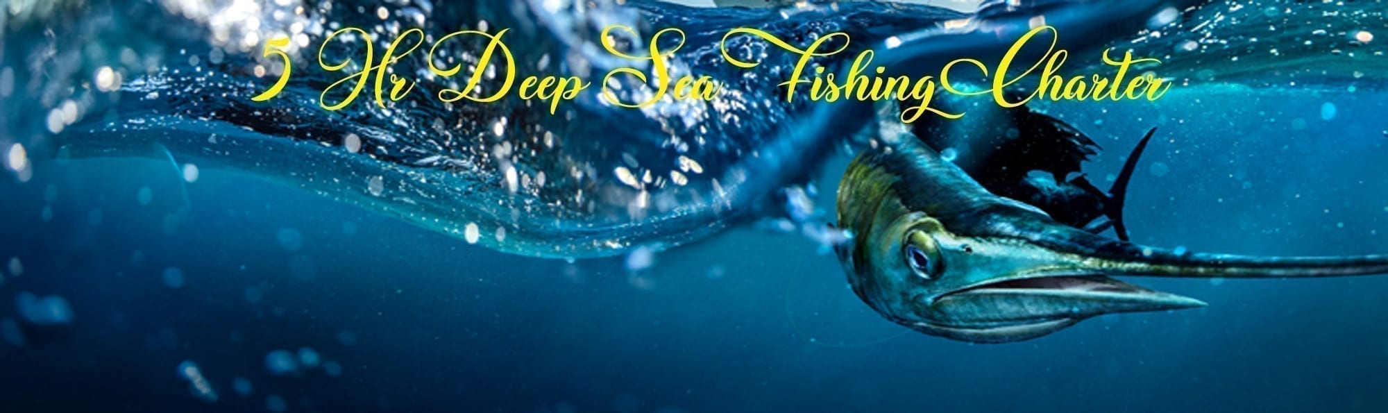 5Hr Deep Sea Fishing Charter
