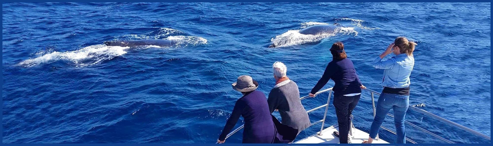 Whale Watching – No Crowds & a Rail-Side Position Guarantee!