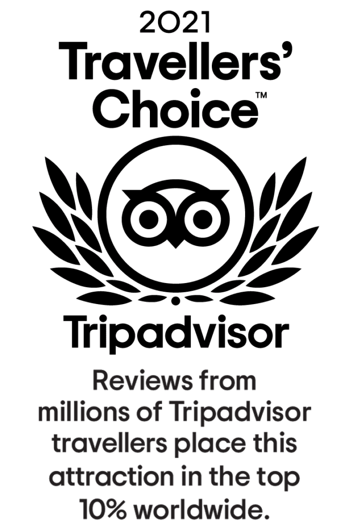 Trip Advisor 2021 TC award with explanation
