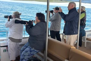 Corporate Whale Watching Cruise on Crusader 1 011